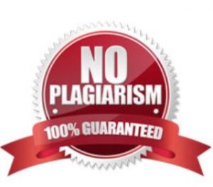 Essay writer No Plagiarism